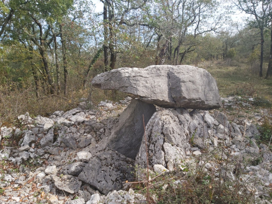 Dolmen de cap de Poech