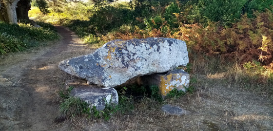 Dolmen de Kerdreux
