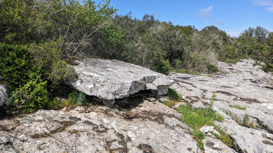 Dolmen de la Table des Turcs