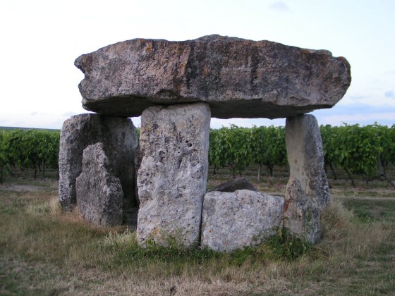 Dolmen de Saint-Fort-sur-le-N&eacute;