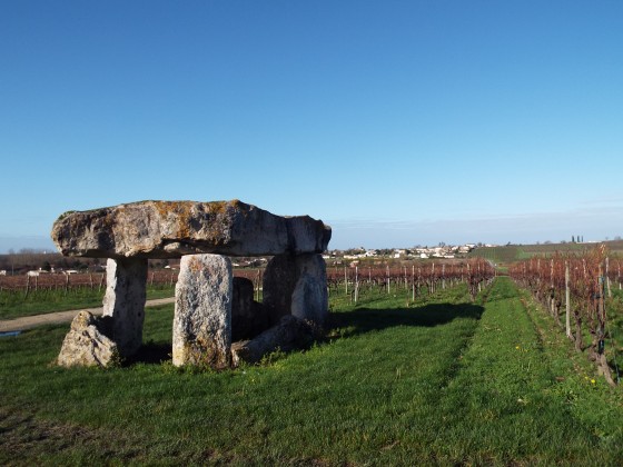 Dolmen de Saint-Fort-sur-le-N&eacute;