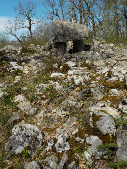 Dolmen de Seignas