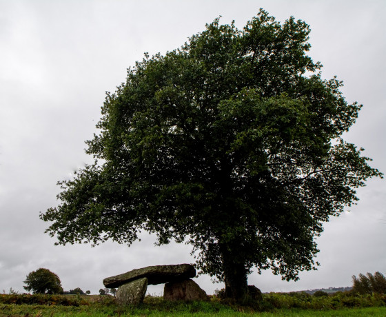 Dolmen du Carouge