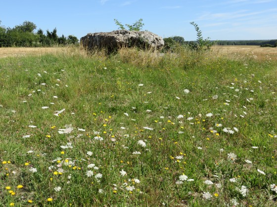 Dolmen près du hameau de La Pierre