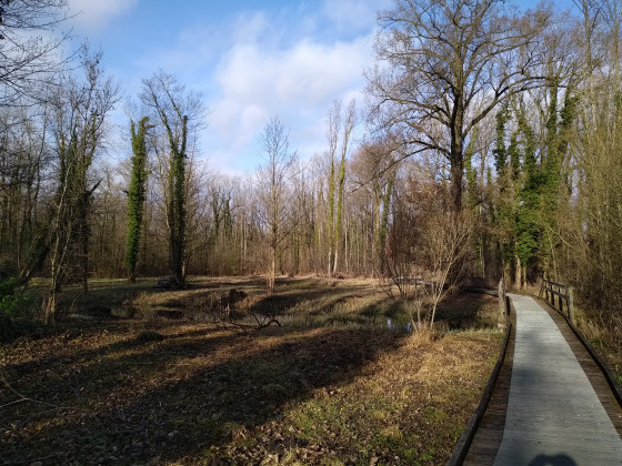Domaine de Bellenville 2e partie