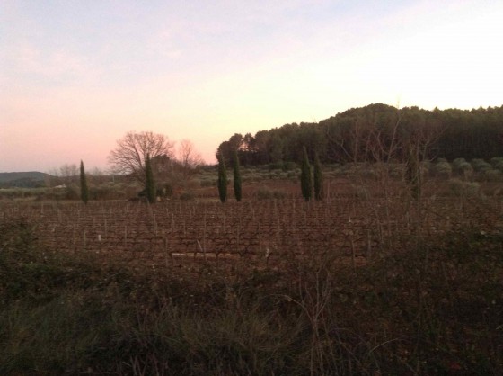Domaine de Valcolombe