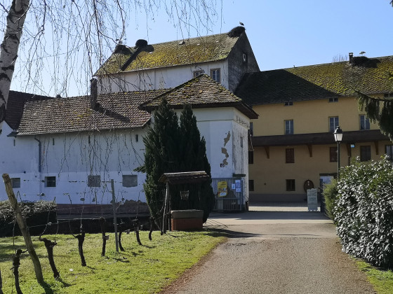 Domaine Xavier Muller