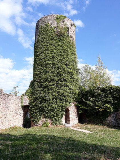 Donjon de Sausenburg