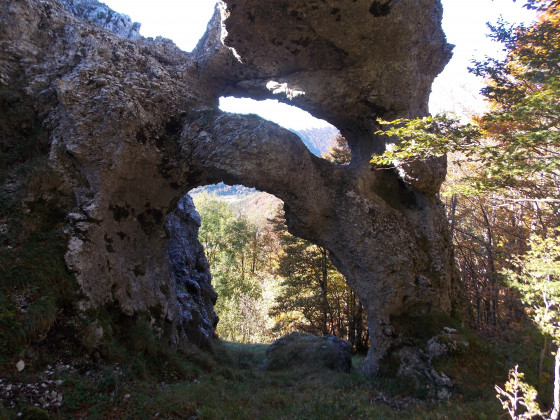 Double Arche du bois de Ruchas