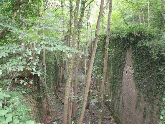 Douves séches
