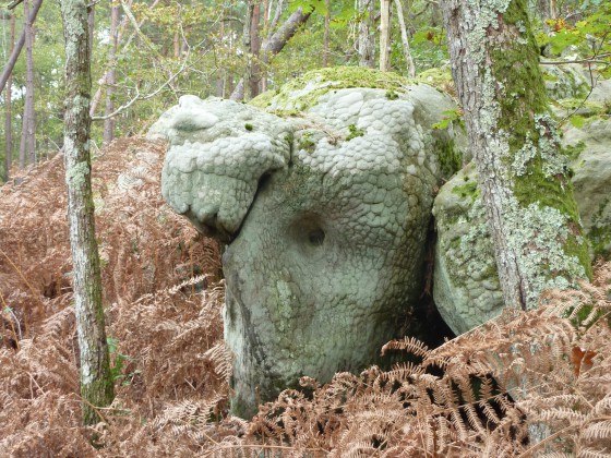 Drôle d\'animal