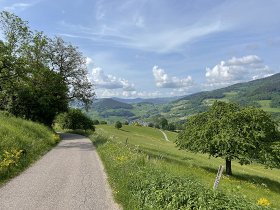 Du col, vue sur les Vosges