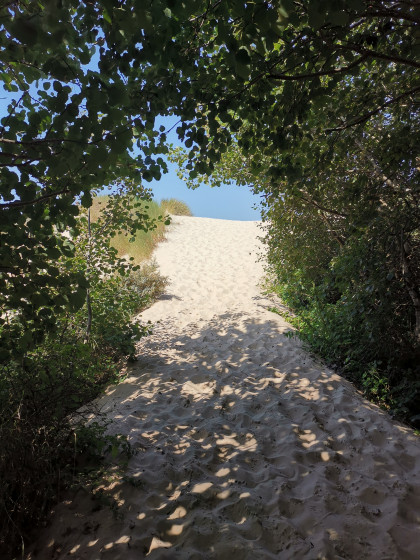 Dune