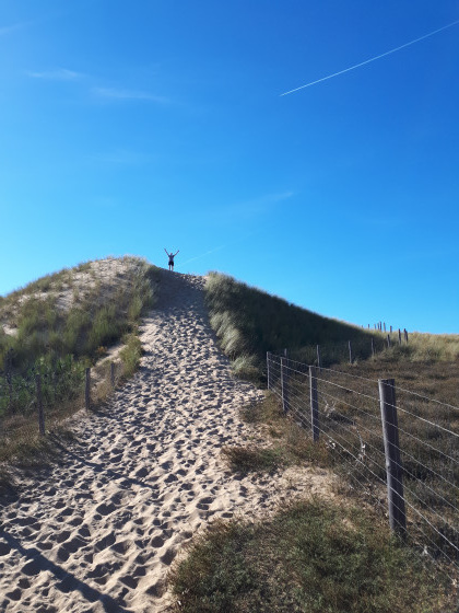 Dune