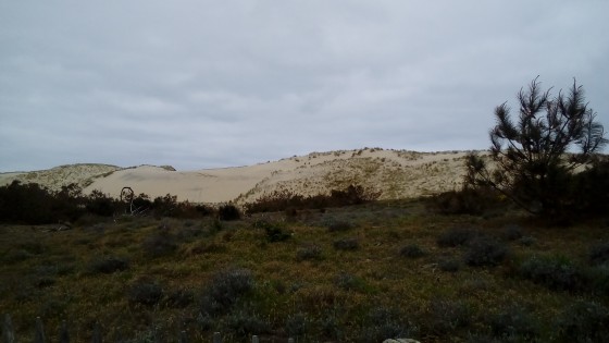 Dune
