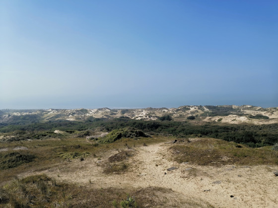 Dunes à Ecault