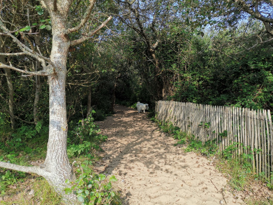 Dunes de la Slack
