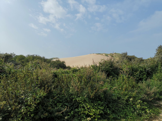 Dunes de la Slack