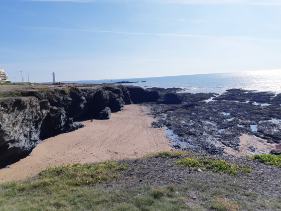 Dunes et falaises.