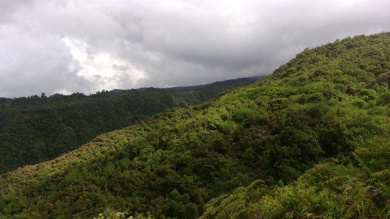 Durant la montée