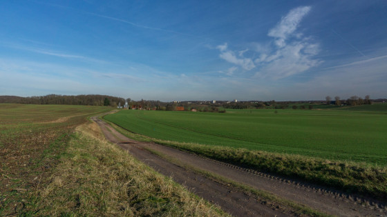 À travers les champs près de Neuwühren