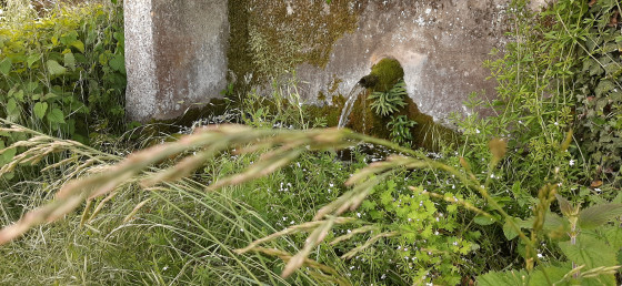 Eau fraiche