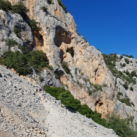 Eboulis sous la falaise