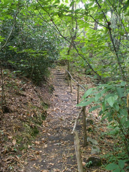 Ecalier rustique