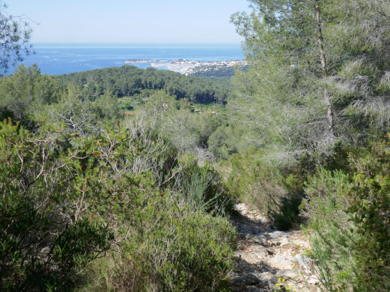 Echapp&eacute;e sur Bandol