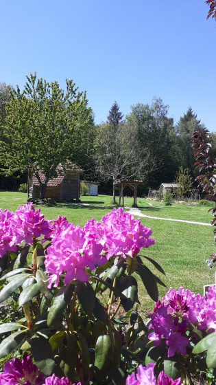 Eco Camping en fleur