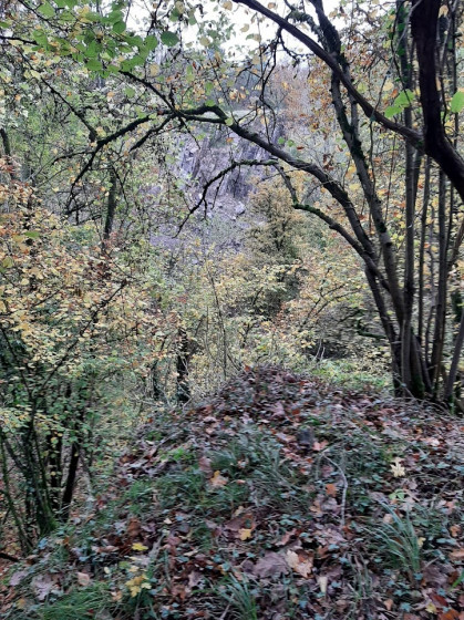 Effondrement calcaire