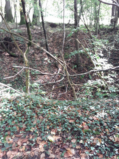 Effondrement ou doline