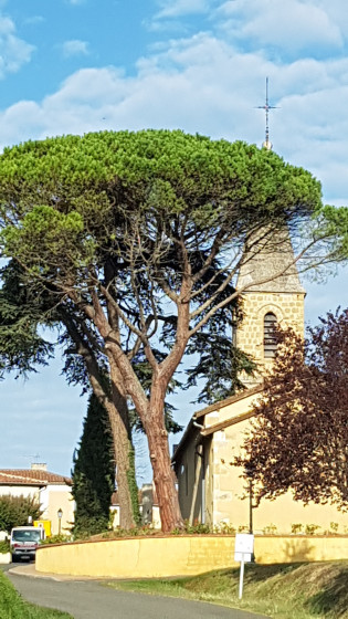 Eglise de Lasséran