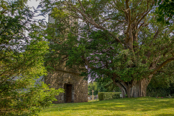 Église Nicorps