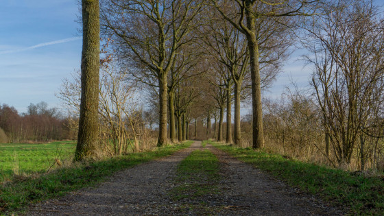 Ancienne voie ferrée de Sieversdorf Preetz