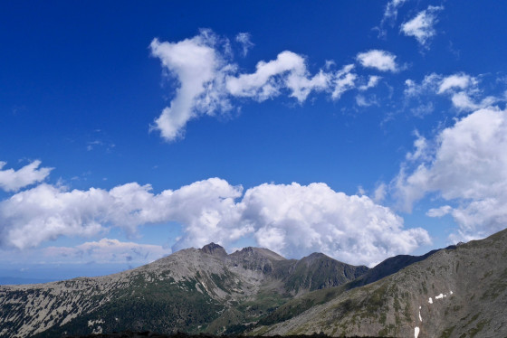 El Canig&oacute;