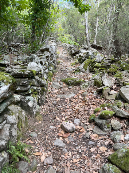 embranchement sentier bleu