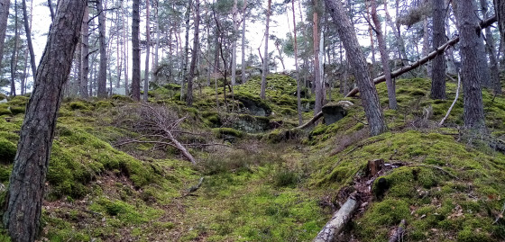Empillements moussus de pavés de grès