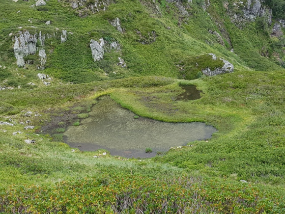 Empreinte de géant