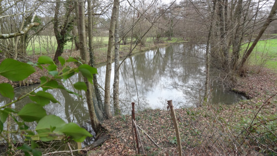 En amont de l'&eacute;tang des Roches