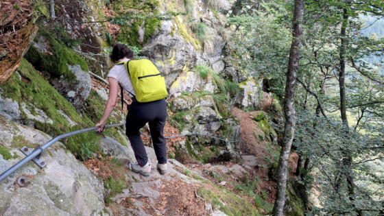 en approche du Belvédère des Hirschteine 2