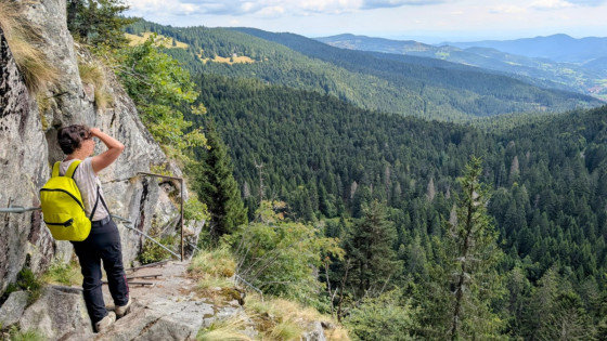 en approche du Belvédère des Hirschteine 3