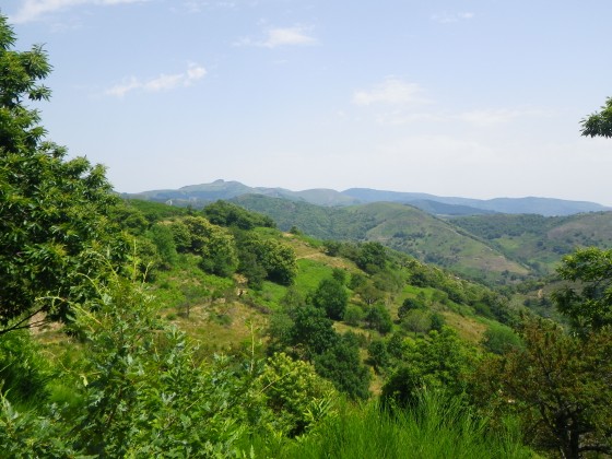 En arrière plan: Rocher du Gourdon et Col de l\'Escrinet