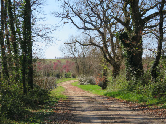 En arrivant &agrave; la ferme du Pigeonnier