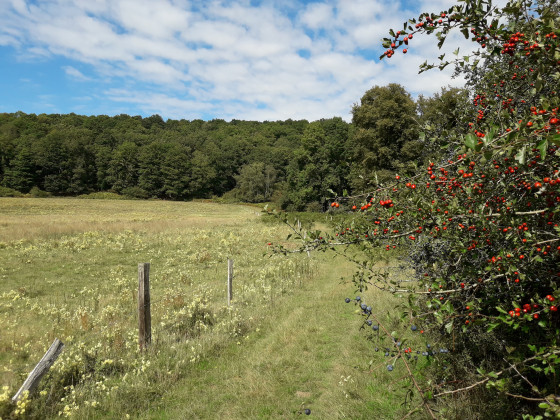 En arrivant au Val Bon Cœur