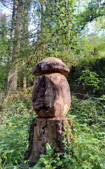 En bordure de chemin