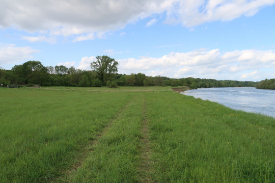 En bordure de loire