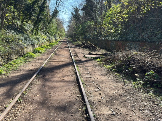 En chemin sur la petite ceinture
