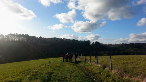 En chemin sur une large piste herbeuse