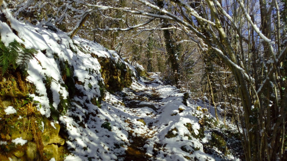 En chemin vers la T&ecirc;te d'Ane